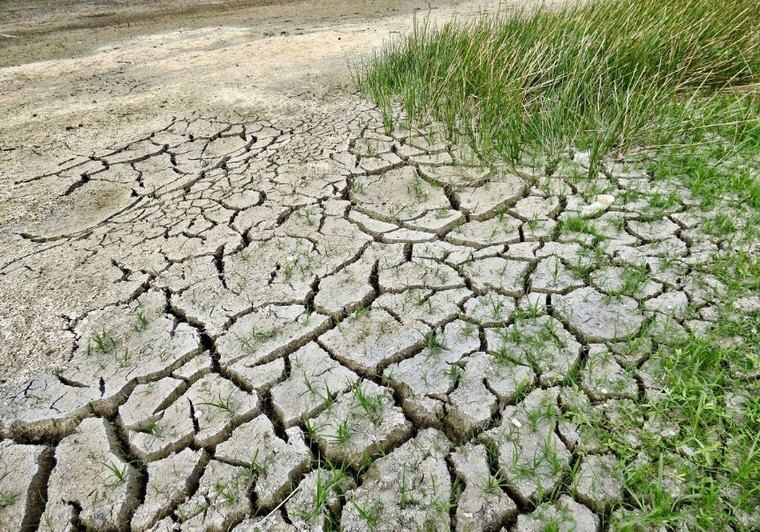 La Universitat de València acogerá la primera conferencia sobre cambio climático en el Mediterráneo ibérico