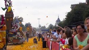 Más de 19,000 visitas a la web de la Batalla de Flores en solo tres días