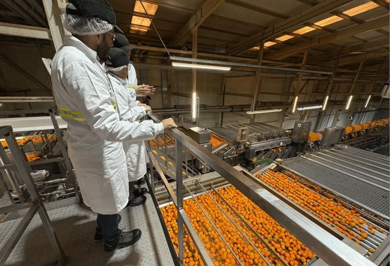 Las exportaciones agroalimentarias de la Comunitat Valenciana aumentan un 8,7% en 2025