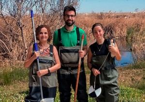 Humedales artificiales en la Albufera reducen contaminación por plaguicidas y metales pesados