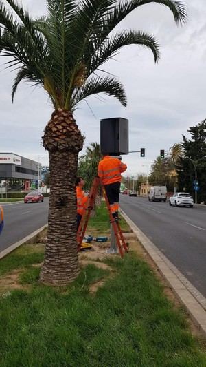 Alicante instalará nuevos radares para controlar la velocidad en sus accesos principales