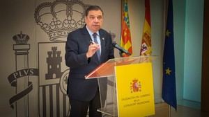 El Gobierno acelera ayudas para recuperar la agricultura en Valencia tras la DANA