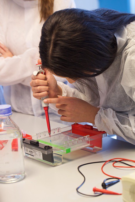 La Universidad de Alicante conmemora el Día Internacional de la Mujer y la Niña en la Ciencia