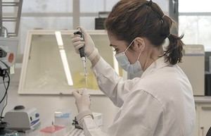 Nueve científicas de la UCV destacan en ranking del CSIC en España