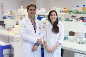 Investigadores de CEU UCH y Alberta estudian la obesidad y su efecto en la salud renal