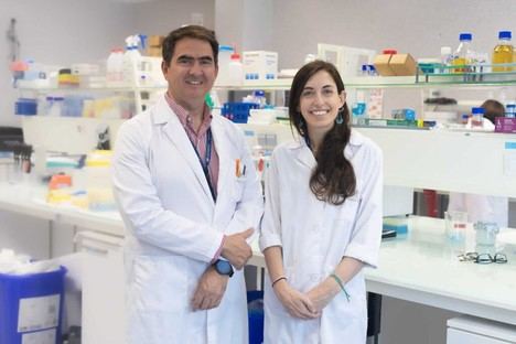 Investigadores de CEU UCH y Alberta estudian la obesidad y su efecto en la salud renal