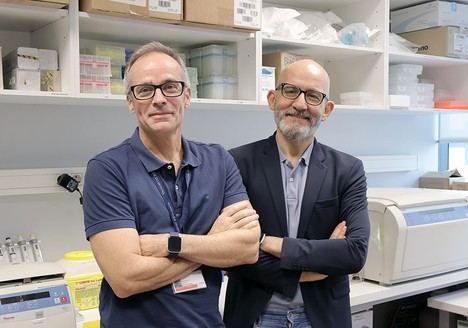 Identifican un nuevo mecanismo que causa resistencia en tratamientos contra el cáncer de pulmón