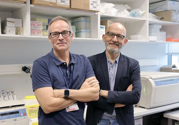 Identifican un nuevo mecanismo que causa resistencia en tratamientos contra el cáncer de pulmón