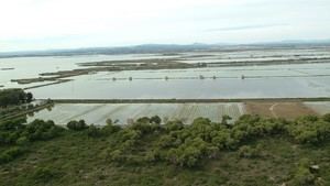 Jornada técnica en Castellar-l'Oliveral sobre la Reserva de la Biosfera de la Albufera