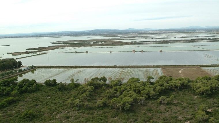 Jornada técnica en Castellar-l'Oliveral sobre la Reserva de la Biosfera de la Albufera