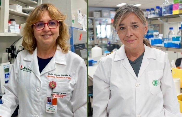 Investigadores de la UCV logran regenerar células que producen insulina