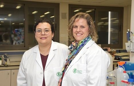 Bebidas energéticas afectan la salud dental de atletas aficionados, según estudio