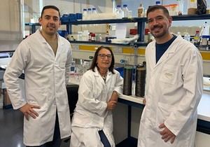Investigadores de la Universitat de València buscan reducir el consumo energético en la producción de fibra de carbono