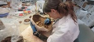 Estudiantes internacionales aprenden arqueología en la villa romana de Borriana