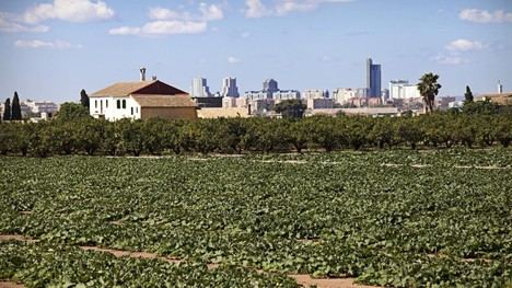 València inicia consulta pública para adaptar el PGOU a la normativa de la huerta