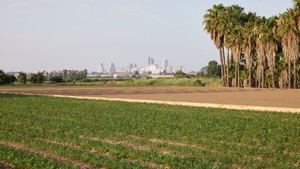 València seleccionada para el programa Youth Climate Action Fund de Bloomberg Philanthropies