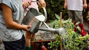 València lanza el proyecto de Huertos Urbanos en Orriols para revitalizar un espacio comunitario