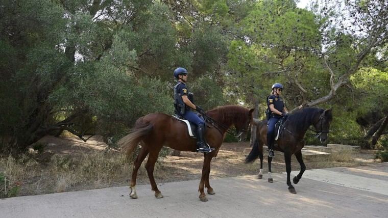 València refuerza la vigilancia en El Saler para prevenir incendios este verano