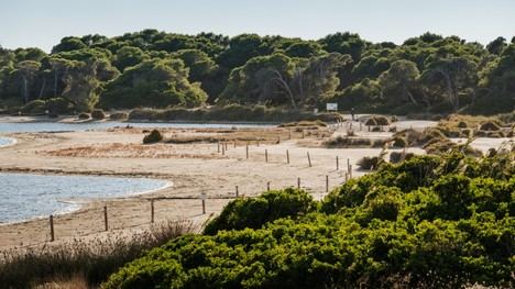 València cierra la Devesa y suspende actividades deportivas por ola de calor