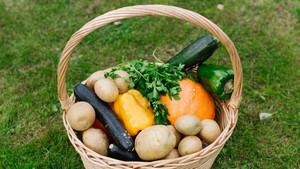 València reafirma su liderazgo en políticas alimentarias sostenibles en Milán