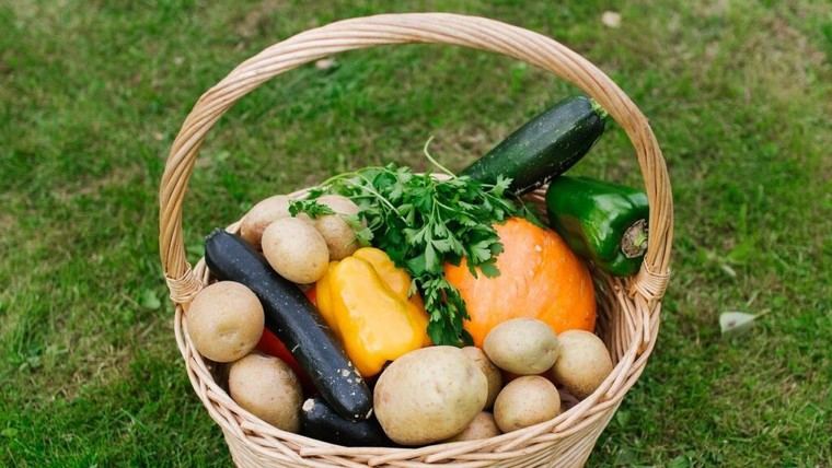 València reafirma su liderazgo en políticas alimentarias sostenibles en Milán
