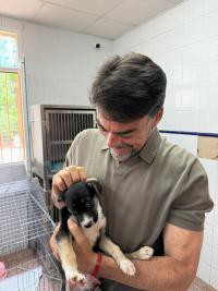 Alicante aumentará su presupuesto para la protección animal y acogerá 1000 mascotas en 2024